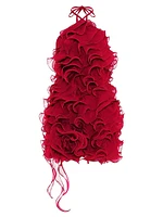 Ruffle Silk Halterneck Minidress