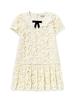 Little Girl's & Butterfly Lace Dress