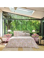 Voyageuse Duvet & Sham Collection