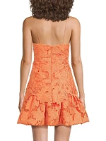 Rhea Lace Minidress