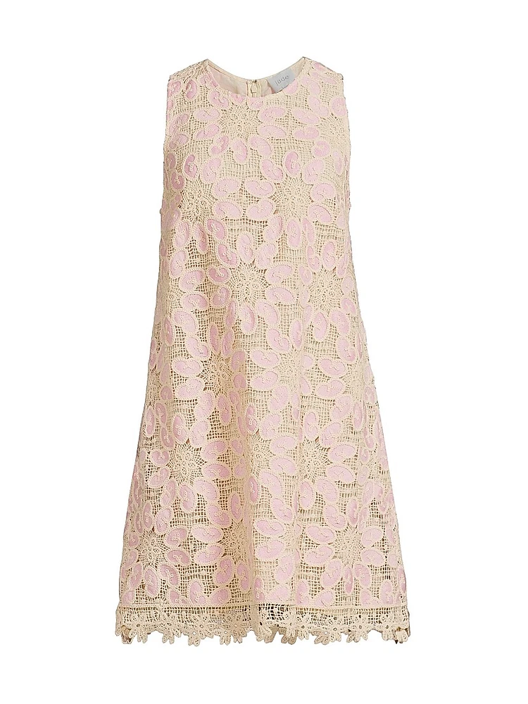 Darcy Lace Shift Minidress