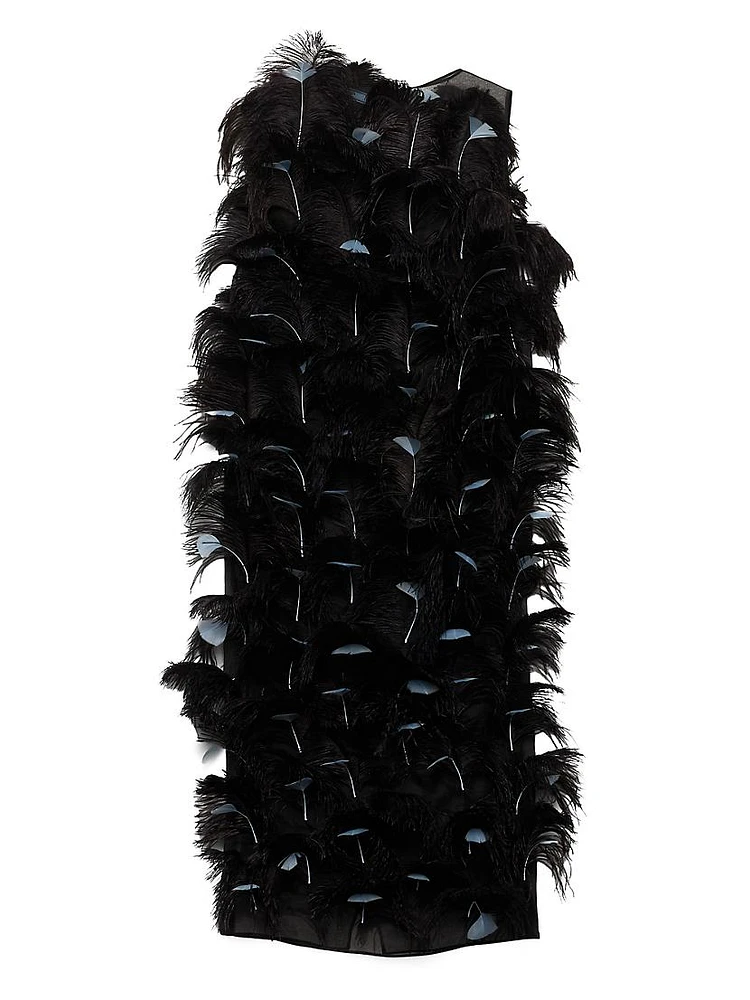 Feather-Embellished Silk Organza Dress