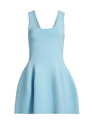 Larina Fit-And-Flare Minidress
