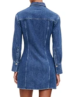 Lisette Shirt Dress