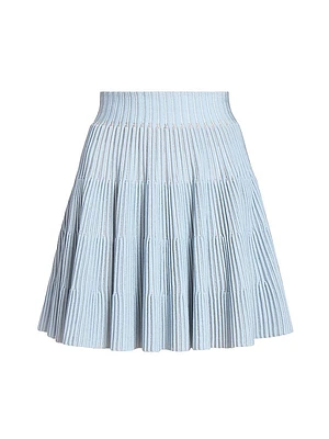 Knit Pleated A-Line Miniskirt