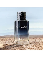 Sauvage Eau de Toilette