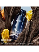 Sauvage Eau de Toilette