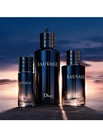 Sauvage Eau de Toilette