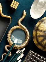 Snake Magnifying Glass