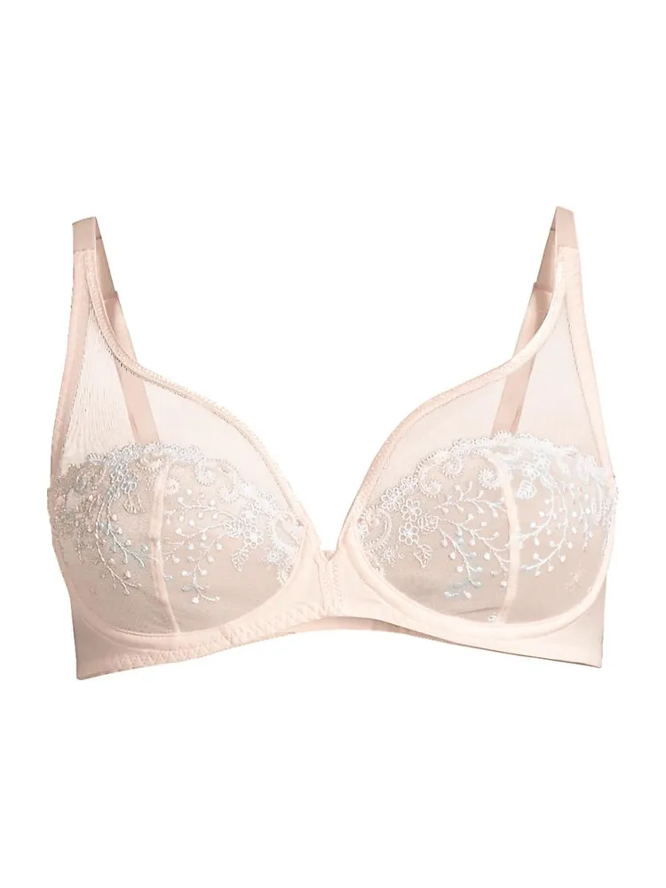 Delice Sheer Plunge Bra