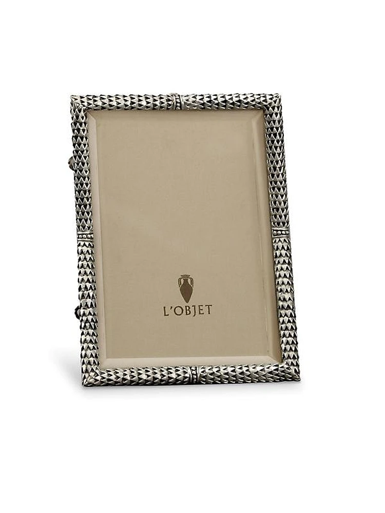 Scales Platinum Picture Frame