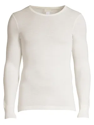 Woolen Silk Long Sleeve Crewneck Tee