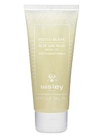 Phyto Blanc Face Buff & Wash