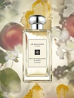 Nectarine Blossom & Honey Cologne