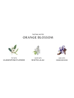 Orange Blossom Cologne