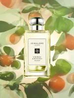 Lime Basil & Mandarin Cologne