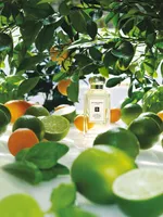 Lime Basil & Mandarin Cologne