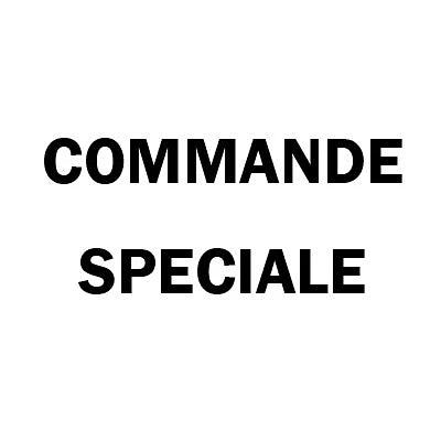 Commande Spéciale