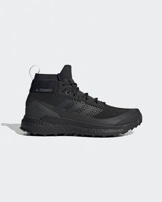 Terrex Hiker GTX Shoes