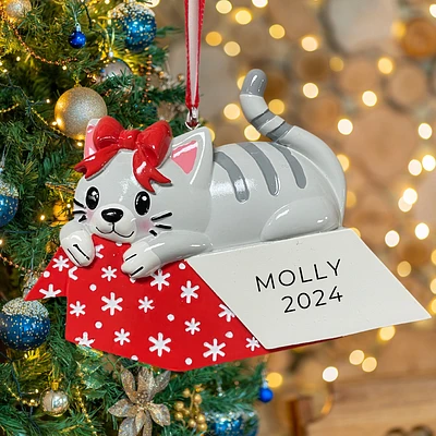 Cat Giftbox Ornament