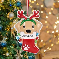 Dog with Reindeer Antlers Ornament