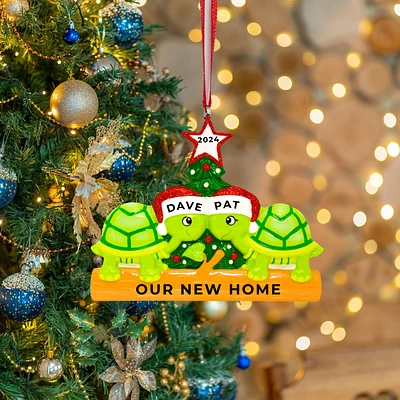 Turtle Family of 2 Ornament