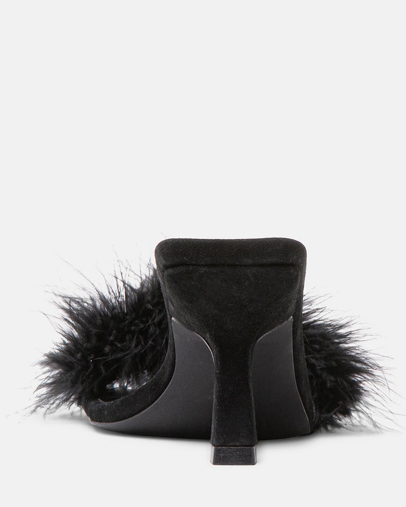 KAROO BLACK