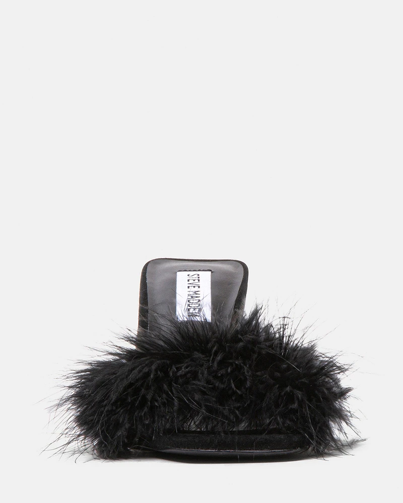 KAROO BLACK
