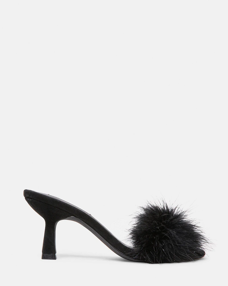 KAROO BLACK