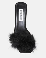 KAROO BLACK