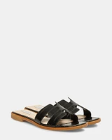 HADYN BLACK EXOTIC