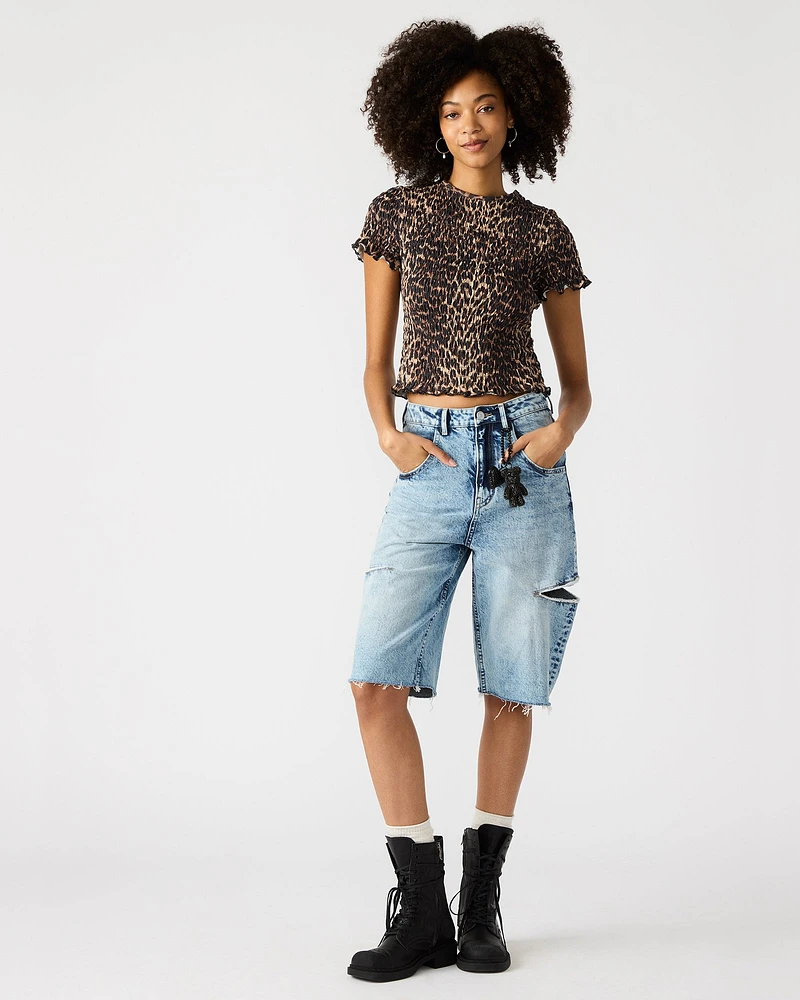 FIA TOP CHEETAH