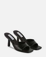 DANNA BLACK EXOTIC