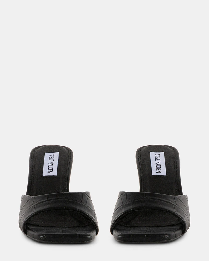DANNA BLACK EXOTIC