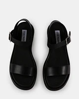 ARIES BLACK