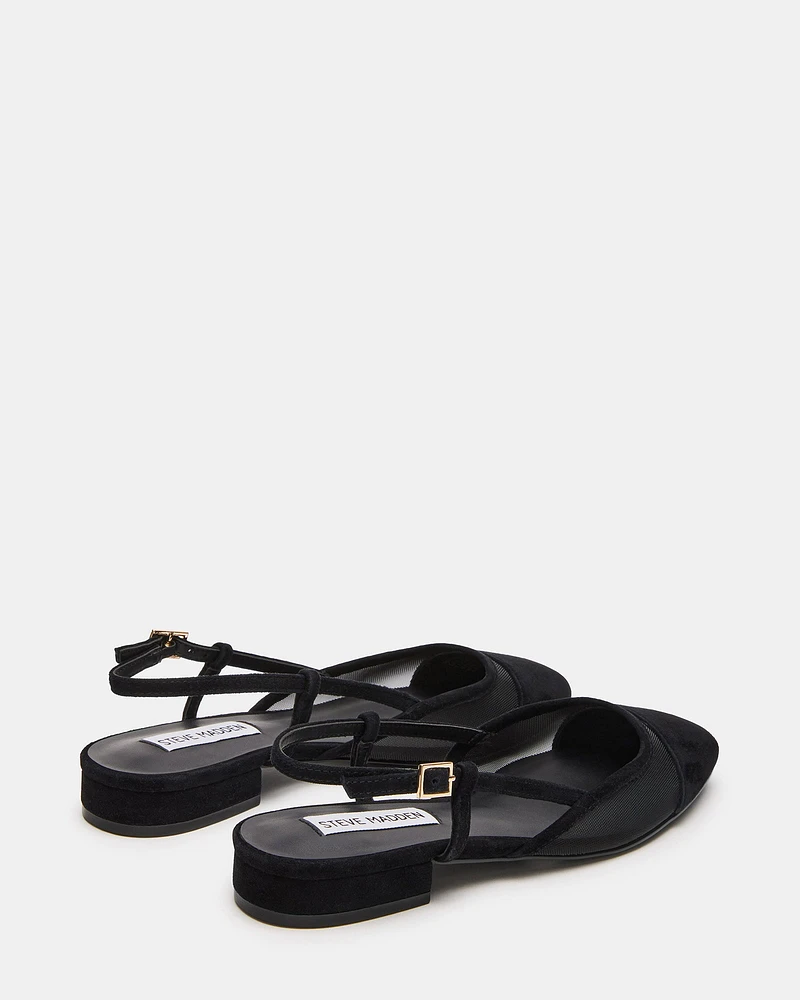 BELINDA-M BLACK SUEDE