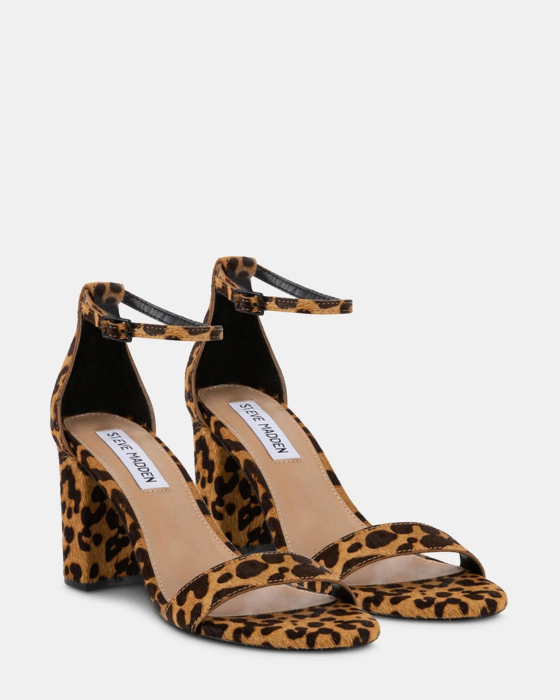 DYLANN-L LEOPARD