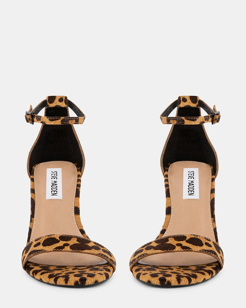DYLANN-L LEOPARD