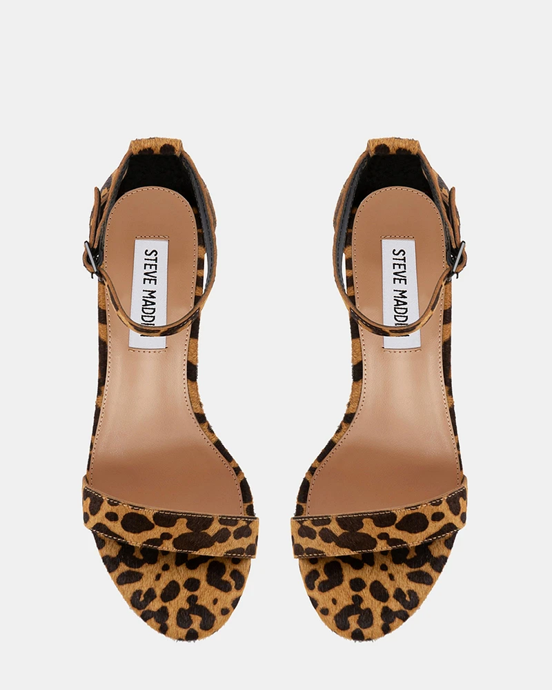 DYLANN-L LEOPARD