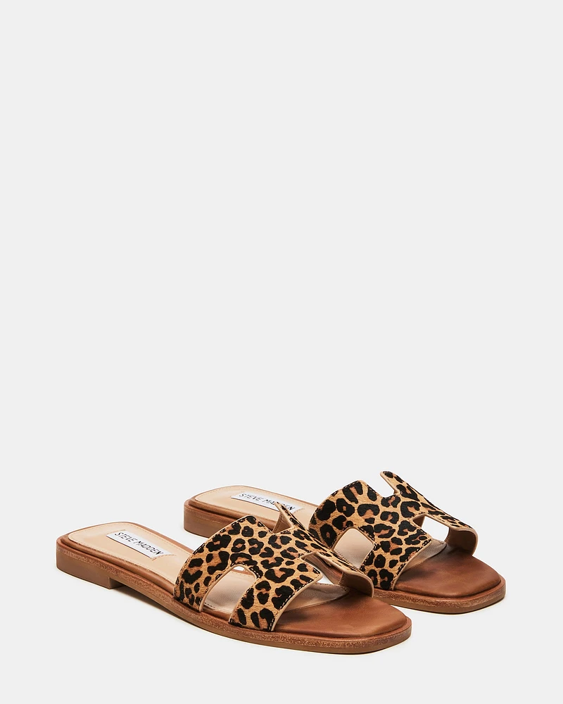HADYN-L LEOPARD
