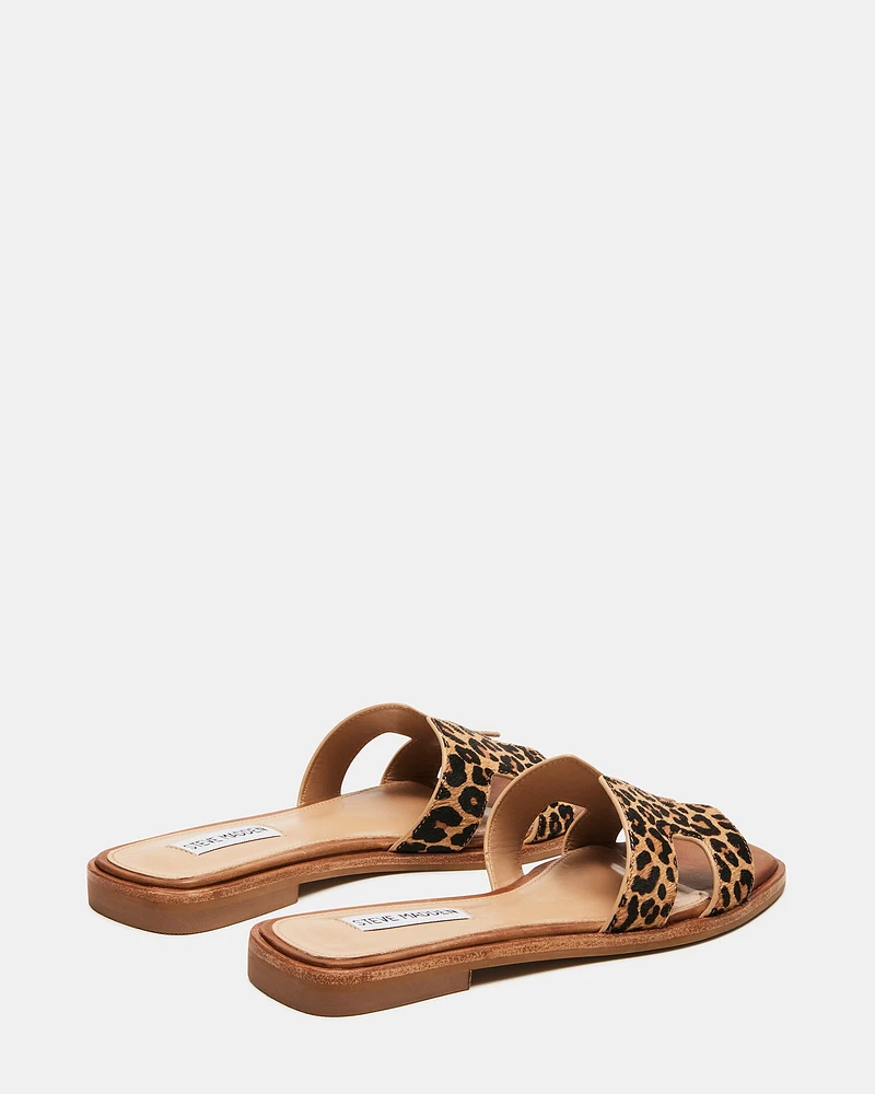 HADYN-L LEOPARD