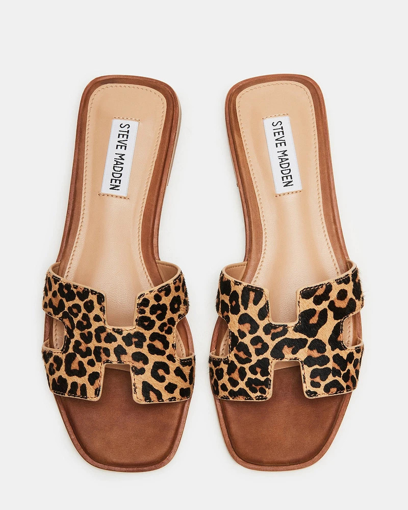 HADYN-L LEOPARD