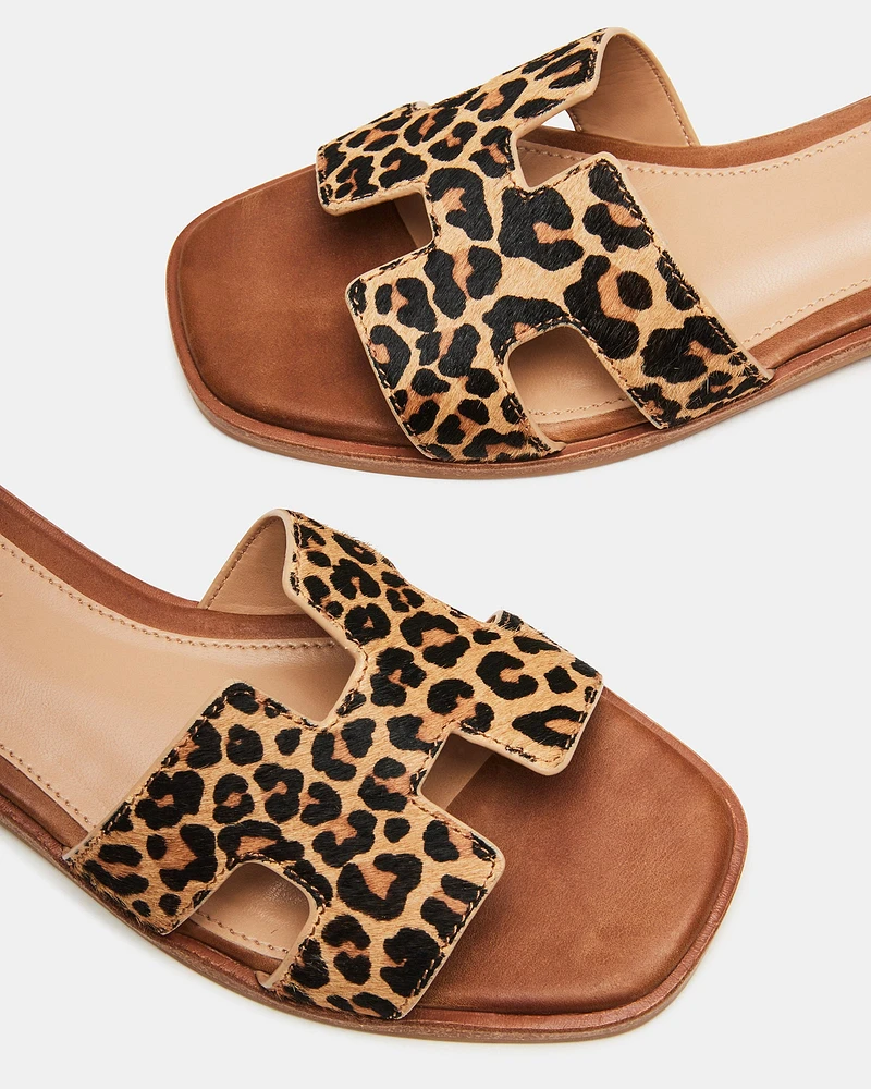 HADYN-L LEOPARD