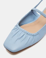 HASTINGS BLUE