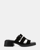 SESAME BLACK