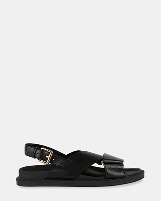SHABA BLACK