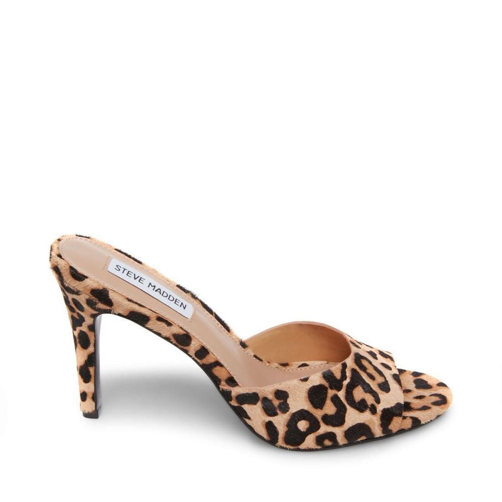 steve madden rookie leopard