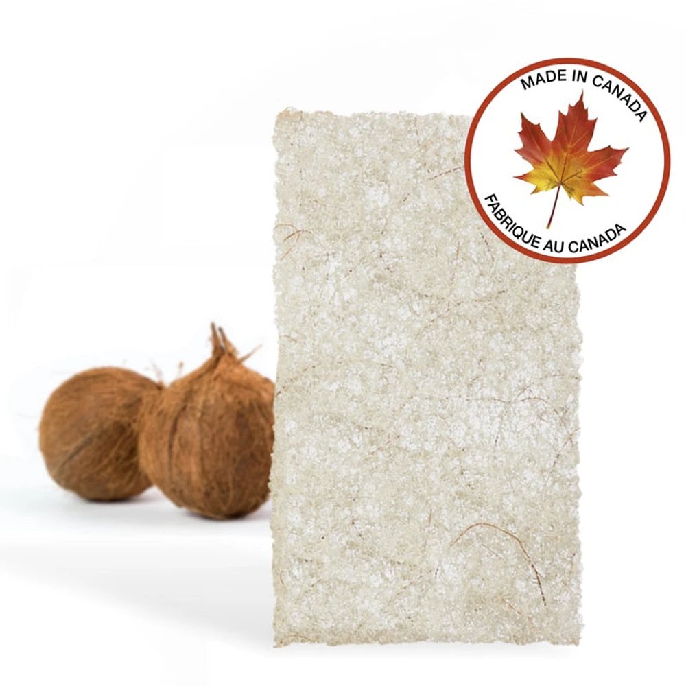 BEACHY CLEAN™Heavy-Duty Coconut Scour Pad