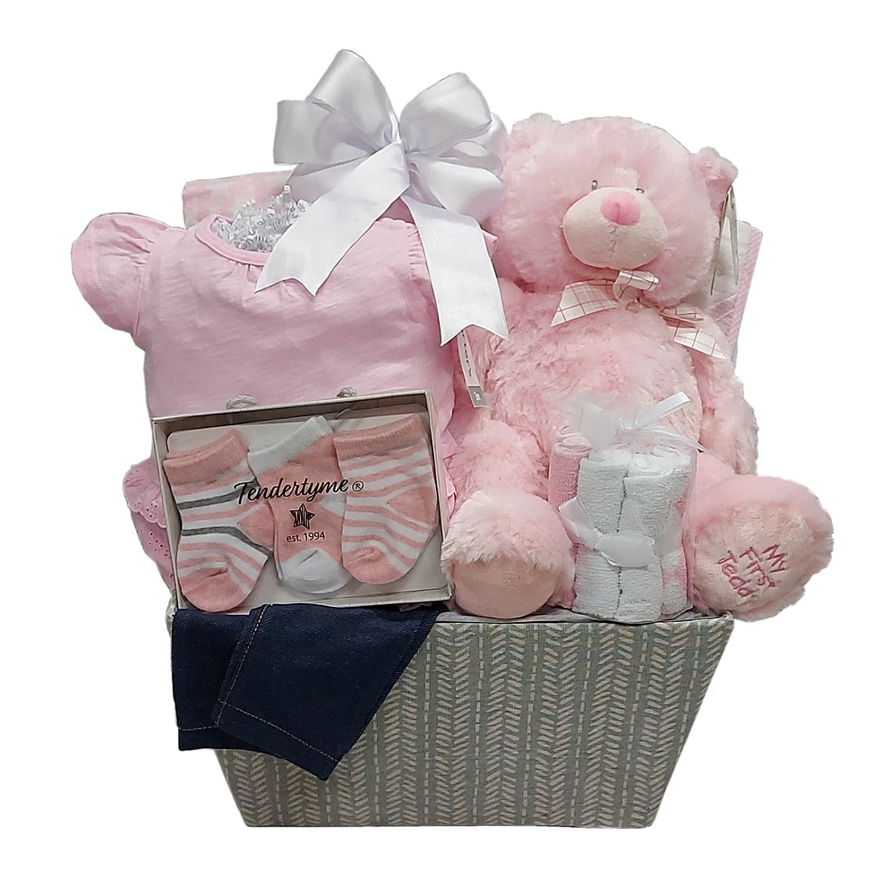 Baby Girl Gift Basket