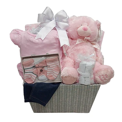 Baby Girl Gift Basket